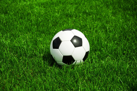 ATP即时比分平台界面展示